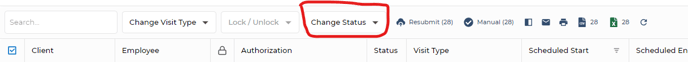 Change Visit Status-1