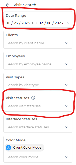 Visit Statuses